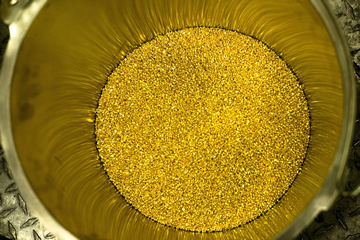 Raw gold dust collected from placer deposits