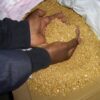 tanzanian gold dust close up